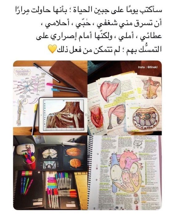 رمزيات دراسة