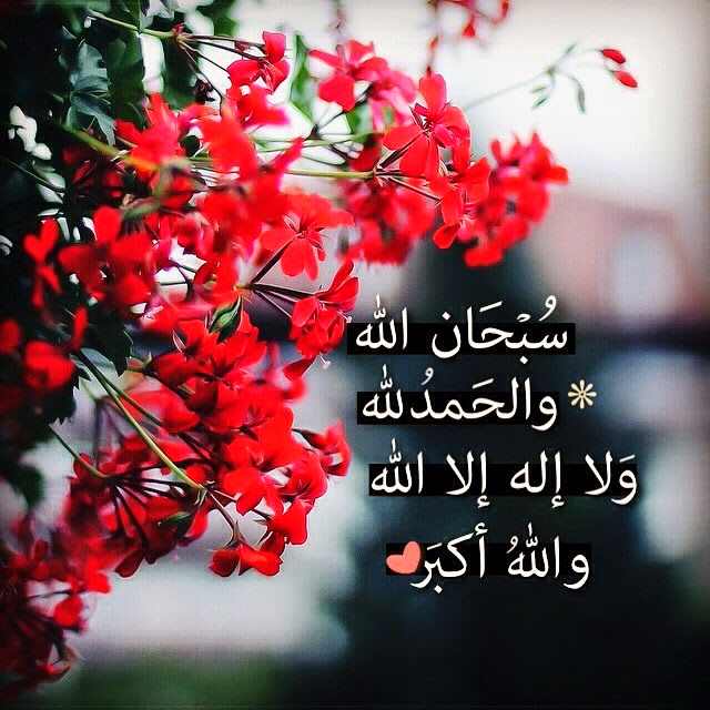 رمزيات دينية كتابية