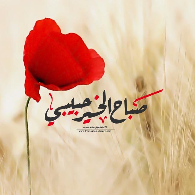 رمزيات صباح الخير للحبيب