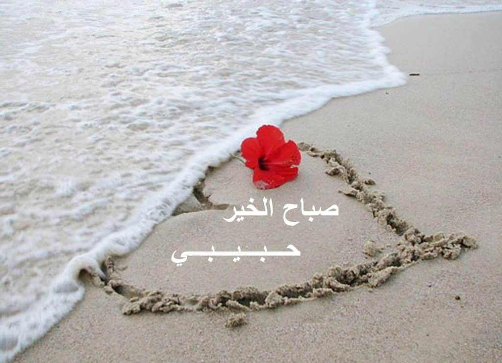 رمزيات صباح الخير للحبيب