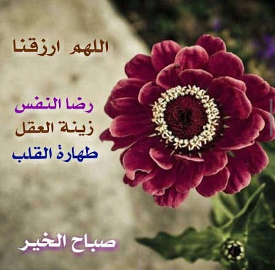 رمزيات صباح الخير مع دعاء