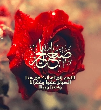 رمزيات صباح الخير مع دعاء