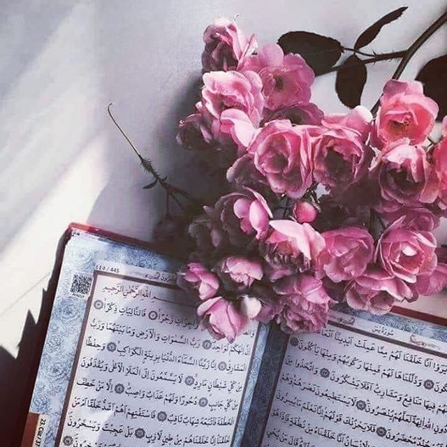 رمزيات طبيعه
