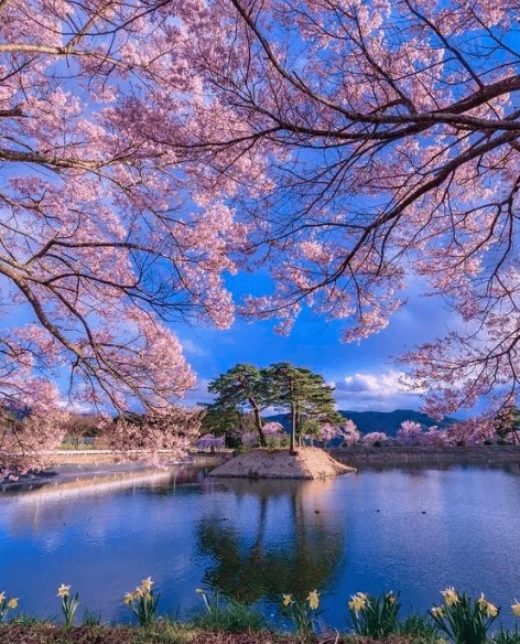 رمزيات طبيعه