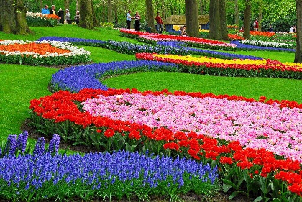 رمزيات طبيعه