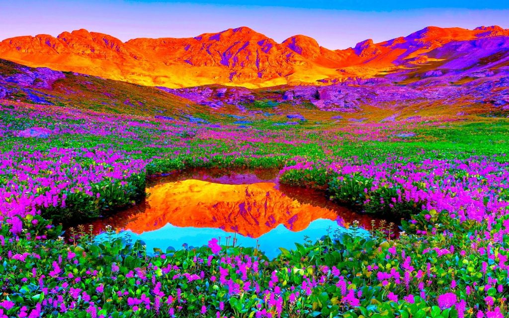 رمزيات طبيعه
