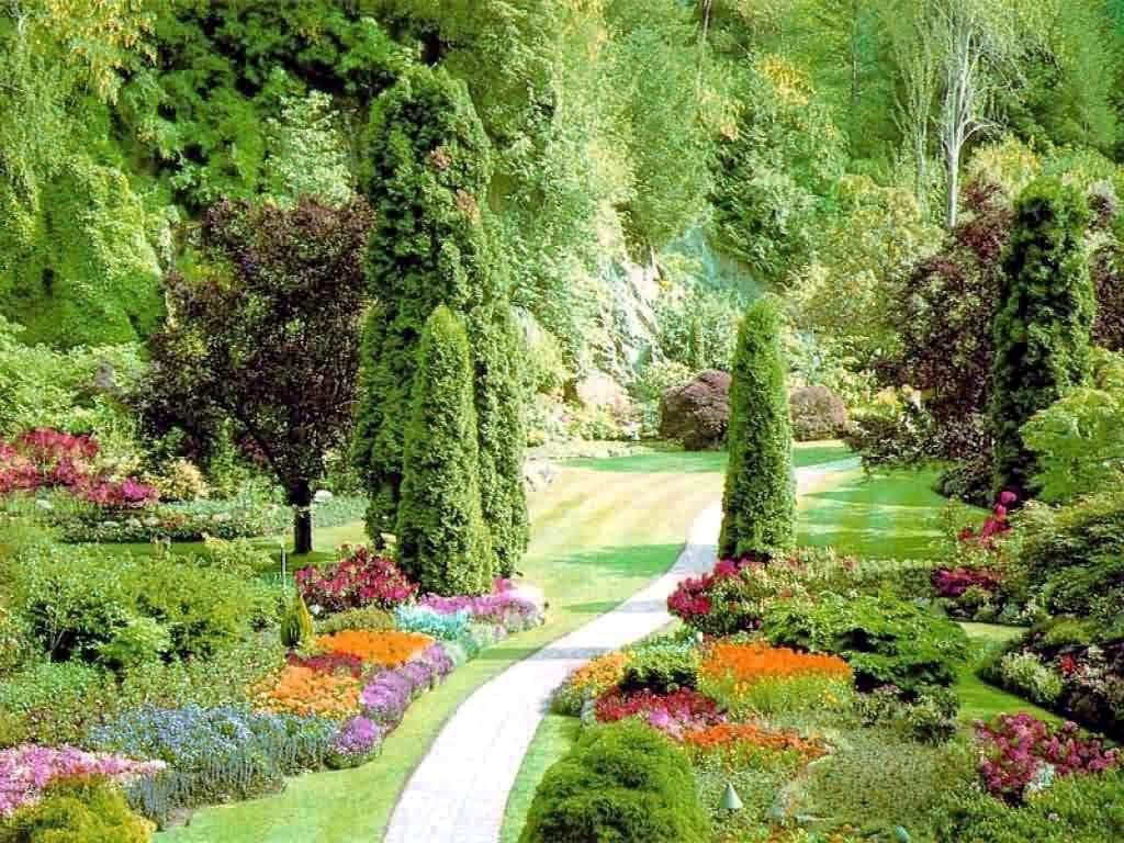 رمزيات طبيعه