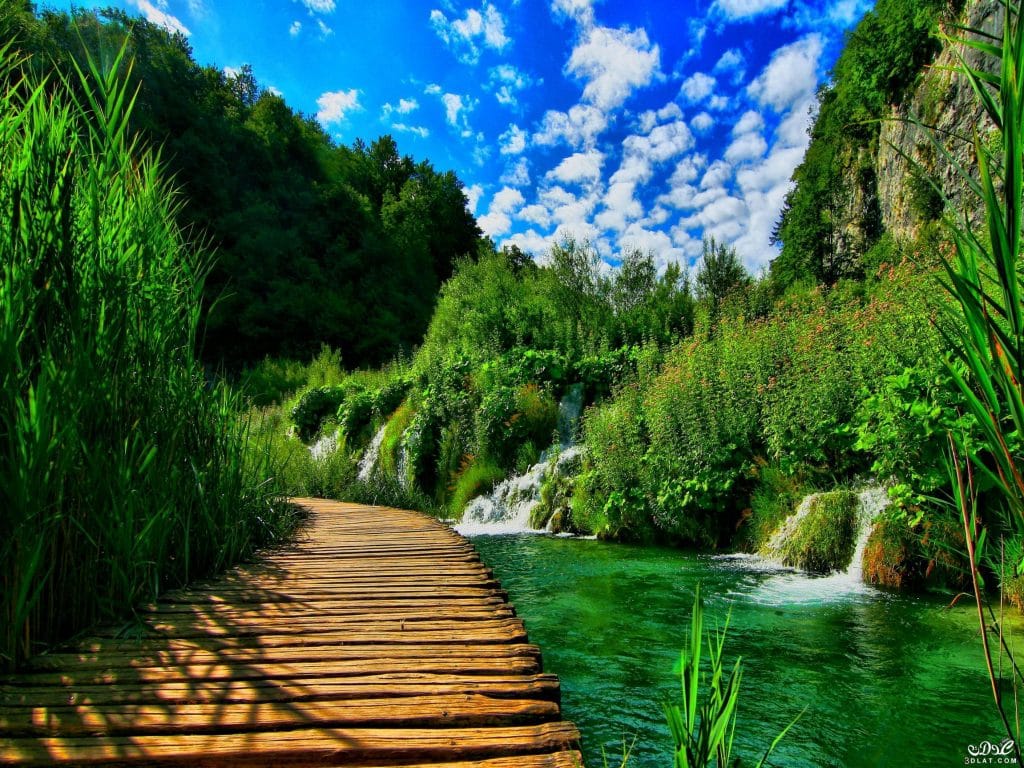 رمزيات طبيعه