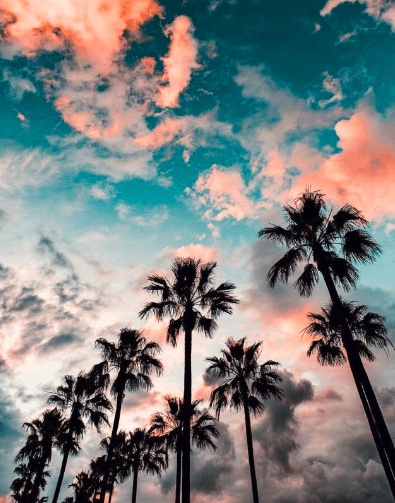 رمزيات طبيعه