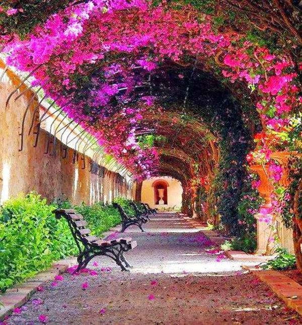 رمزيات طبيعه