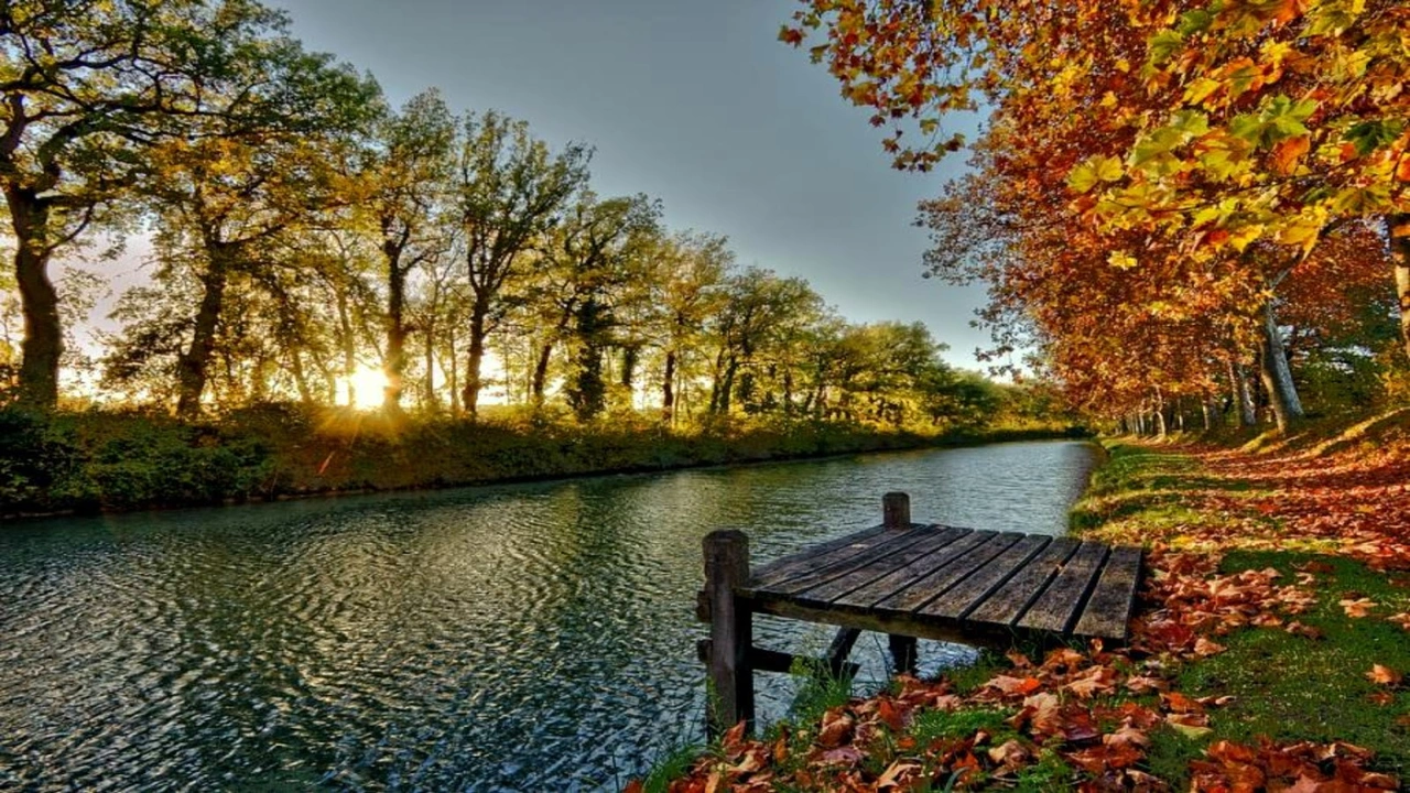 صورة رمزيات طبيعه