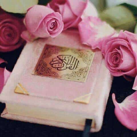 رمزيات قران وورد