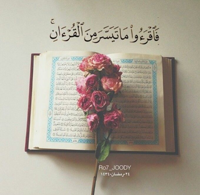 رمزيات قران وورد