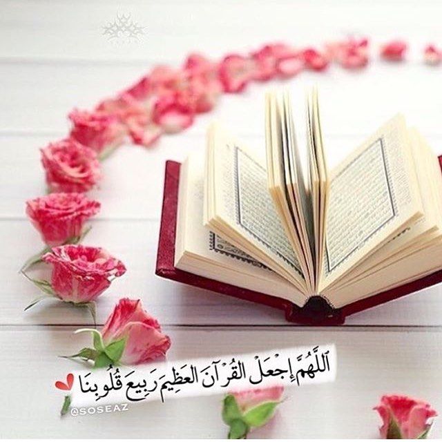 رمزيات قران وورد
