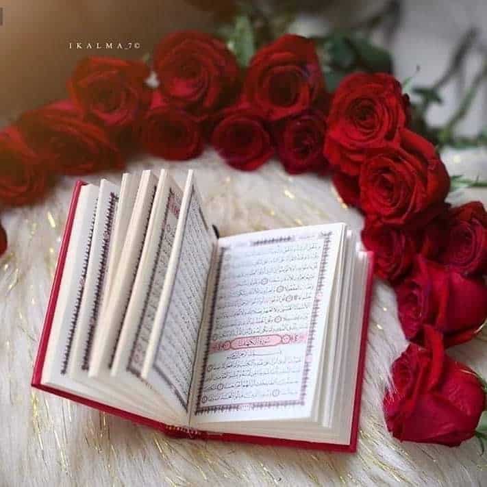 رمزيات قران وورد