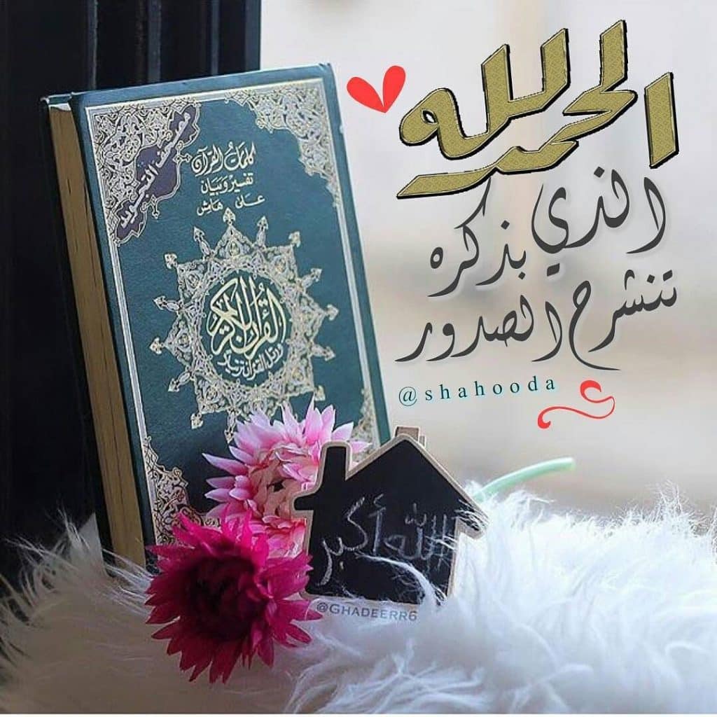 رمزيات قران وورد