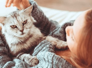 رمزيات قطط كيوت