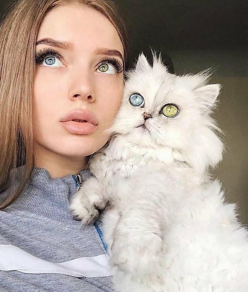 رمزيات قطط وبنات