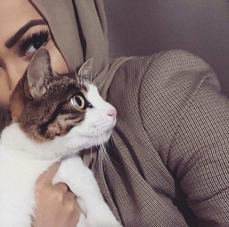 رمزيات قطط وبنات