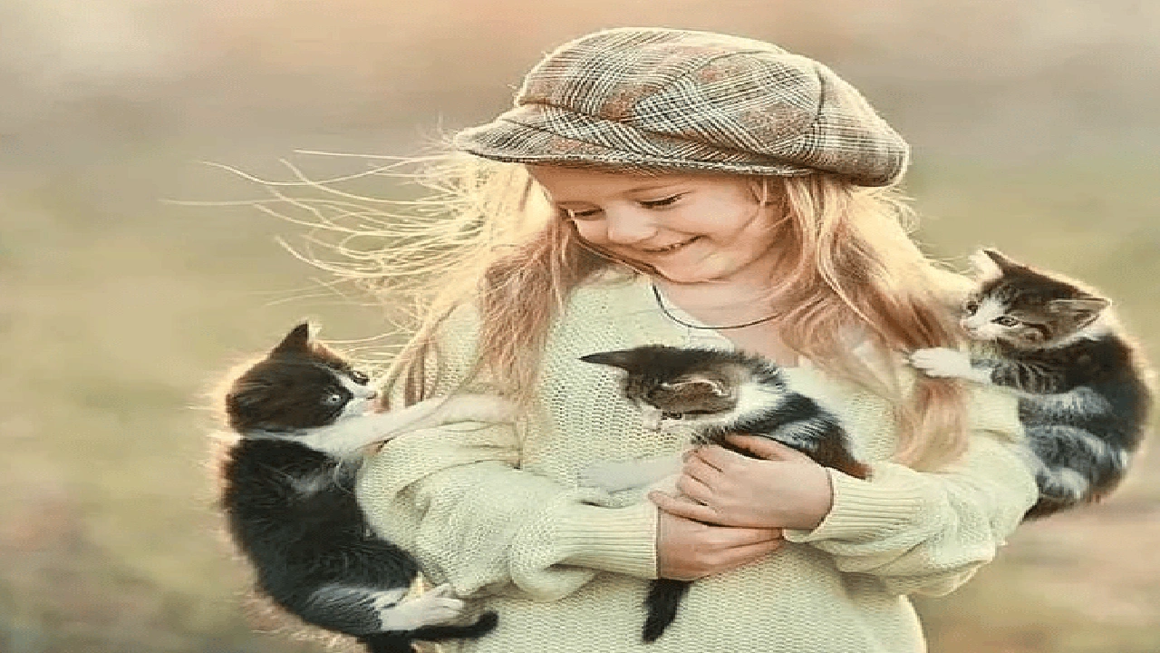 صورة رمزيات قطط وبنات