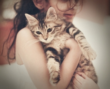 رمزيات قطط وبنات