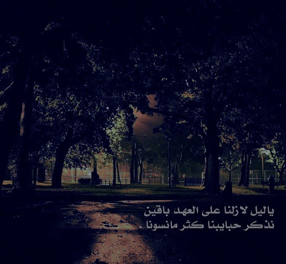 رمزيات ليل