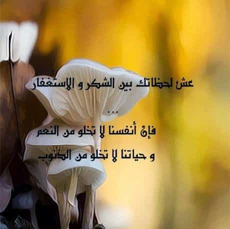 رمزيات معبرة