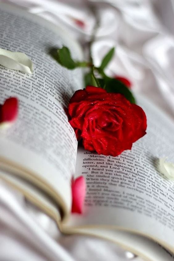 روايات خليجية