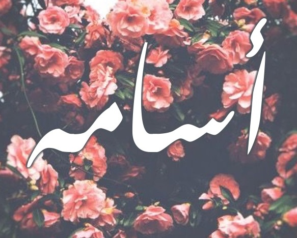 زخرفة اسم اسامة