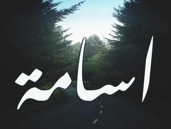 زخرفة اسم اسامة