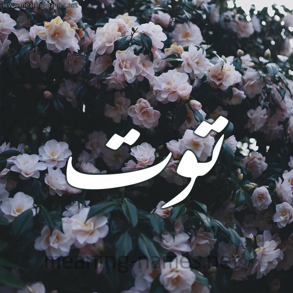 زخرفة اسم توته