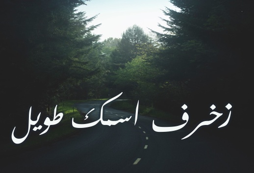زخرفة اسم ثكيل
