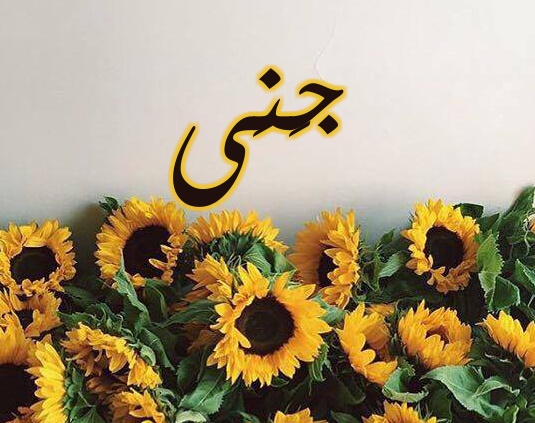 زخرفة اسم جنى