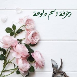 زخرفة اسم دلوعة