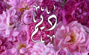 زخرفة اسم ديم