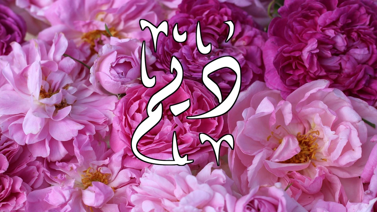 صورة زخرفة اسم ديم