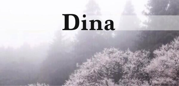 زخرفة اسم دينا
