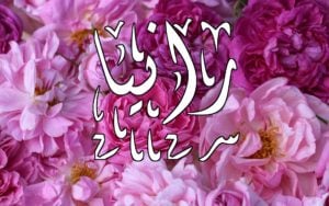 زخرفة اسم رانيا