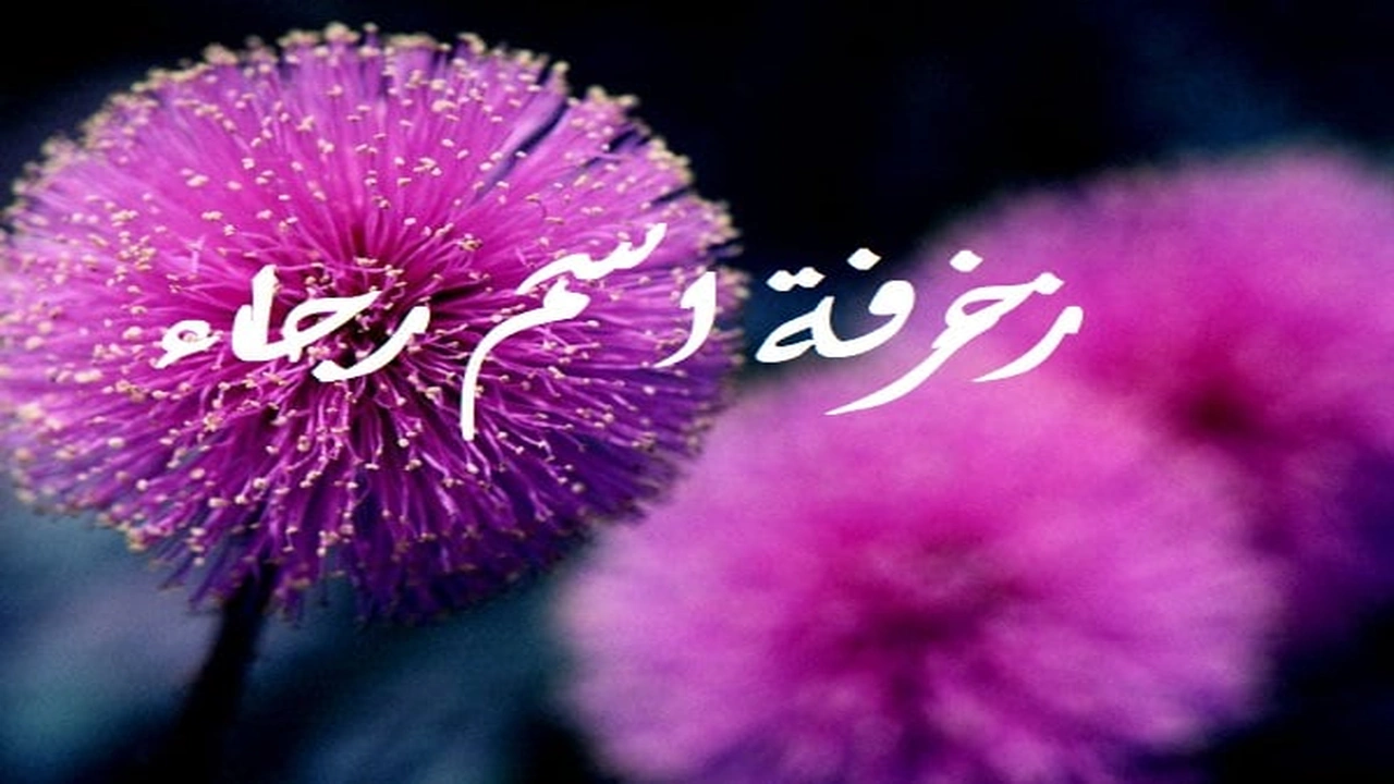 صورة زخرفة اسم رجاء