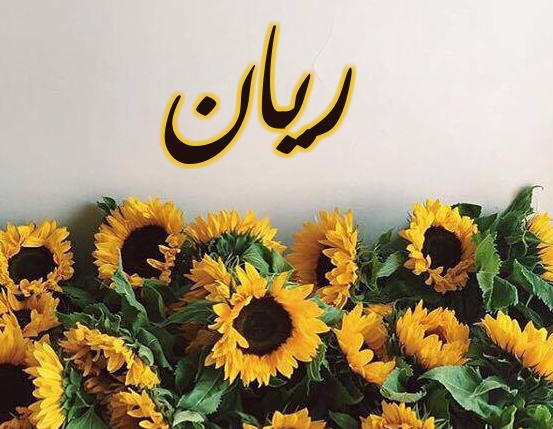 زخرفة اسم ريان