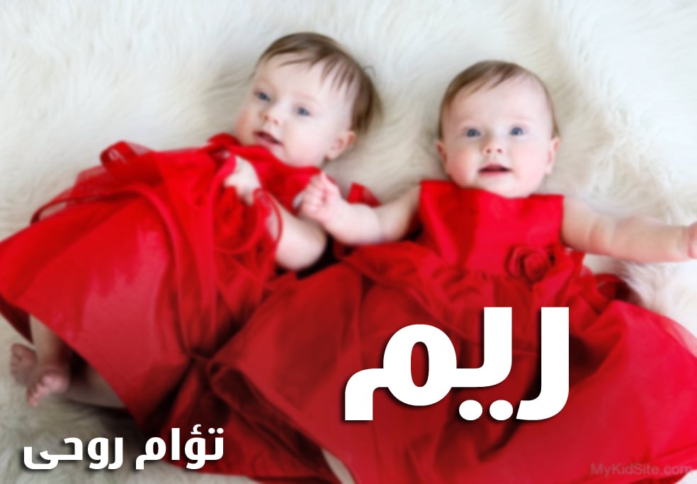 زخرفة اسم ريم ببجي