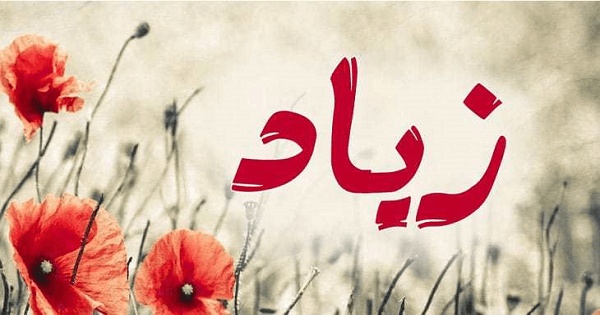 زخرفة اسم زياد
