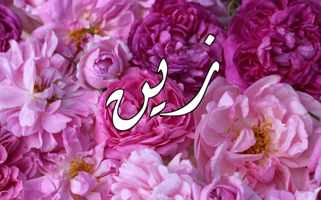 زخرفة اسم زين