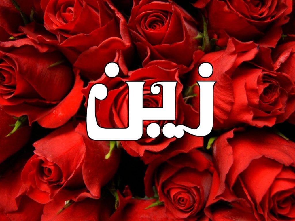 زخرفة اسم زين