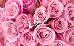 زخرفة اسم زين