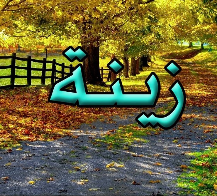 زخرفة اسم زينة
