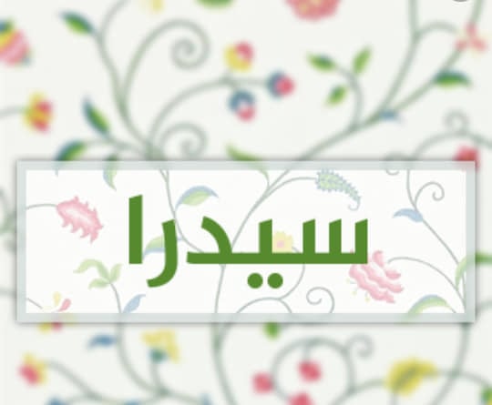 زخرفة اسم سيدرا