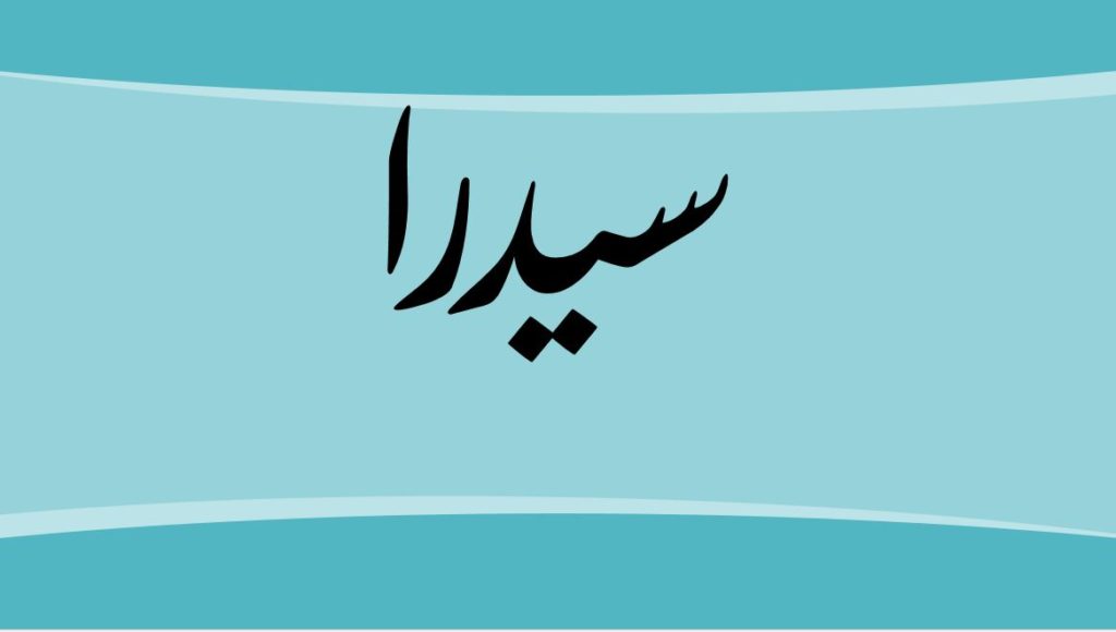 زخرفة اسم سيدرا