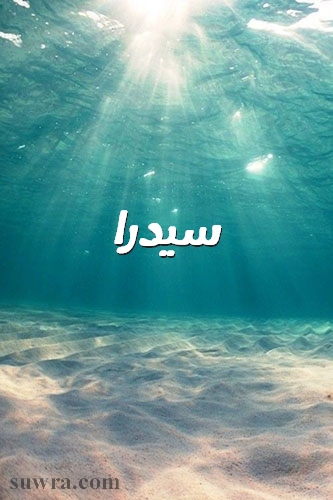 زخرفة اسم سيدرا