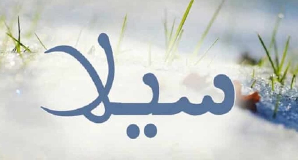 زخرفة اسم سيلا